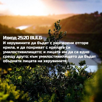 Picture 02 - Изход 25:20 BULG - И херувимите да бъдат с - Bible Verse Picture