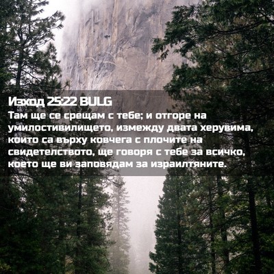 Picture 02 - Изход 25:22 BULG - Там ще се срещам с тебе; и - Bible Verse Picture