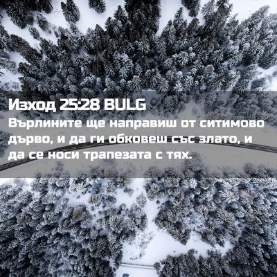Picture 02 - Изход 25:28 BULG - Върлините ще направиш от - Bible Verse Picture