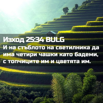 Picture 02 - Изход 25:34 BULG - И на стъблото на - Bible Verse Picture
