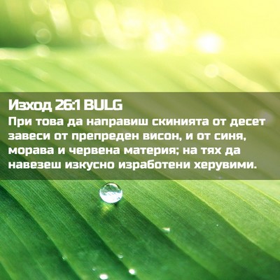 Picture 02 - Изход 26:1 BULG - При това да направиш - Bible Verse Picture