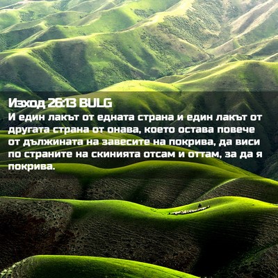 Picture 02 - Изход 26:13 BULG - И един лакът от едната - Bible Verse Picture