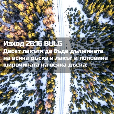 Picture 02 - Изход 26:16 BULG - Десет лакътя да бъде - Bible Verse Picture