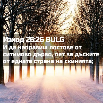 Picture 02 - Изход 26:26 BULG - И да направиш лостове от - Bible Verse Picture
