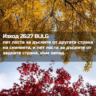 Picture 02 - Изход 26:27 BULG - пет лоста за дъските от - Bible Verse Picture