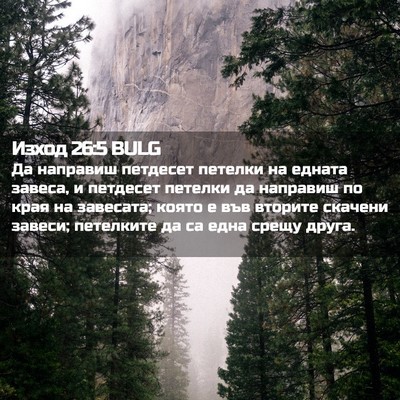 Picture 02 - Изход 26:5 BULG - Да направиш петдесет - Bible Verse Picture