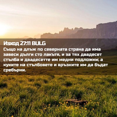 Picture 02 - Изход 27:11 BULG - Също на длъж по северната - Bible Verse Picture