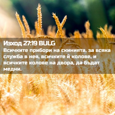 Picture 02 - Изход 27:19 BULG - Всичките прибори на - Bible Verse Picture