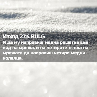 Picture 02 - Изход 27:4 BULG - И да му направиш медна - Bible Verse Picture