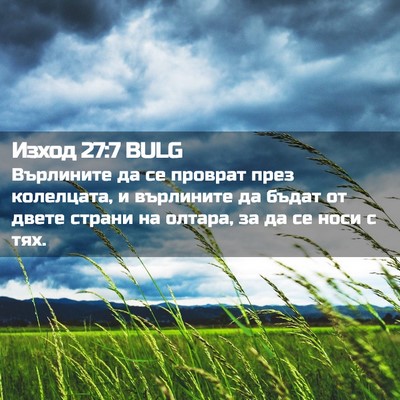 Picture 02 - Изход 27:7 BULG - Върлините да се проврат - Bible Verse Picture