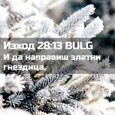 Picture 02 - Изход 28:13 BULG - И да направиш златни - Bible Verse Picture