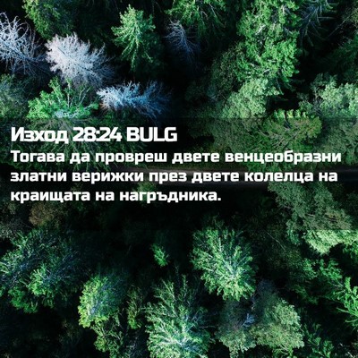 Picture 02 - Изход 28:24 BULG - Тогава да провреш двете - Bible Verse Picture