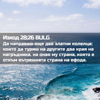 Picture 02 - Изход 28:26 BULG - Да направиш още две златни - Bible Verse Picture