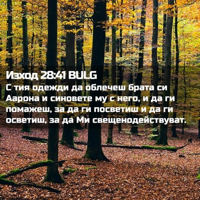 Picture 02 - Изход 28:41 BULG - С тия одежди да облечеш - Bible Verse Picture