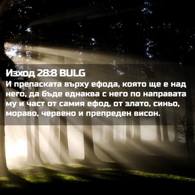Picture 02 - Изход 28:8 BULG - И препаската върху ефода, - Bible Verse Picture