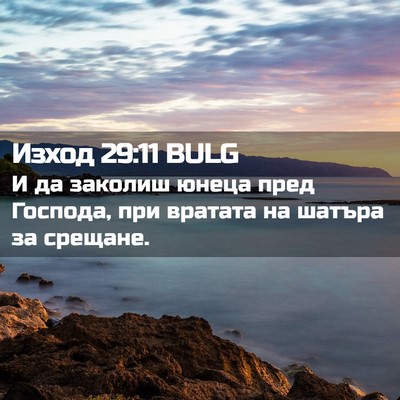 Picture 02 - Изход 29:11 BULG - И да заколиш юнеца пред - Bible Verse Picture