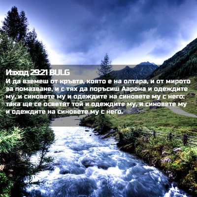 Picture 02 - Изход 29:21 BULG - И да вземеш от кръвта, - Bible Verse Picture