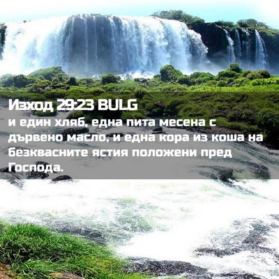 Picture 02 - Изход 29:23 BULG - и един хляб, една пита - Bible Verse Picture
