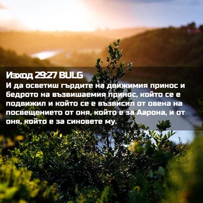 Picture 02 - Изход 29:27 BULG - И да осветиш гърдите на - Bible Verse Picture