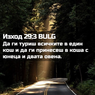 Picture 02 - Изход 29:3 BULG - Да ги туриш всичките в един - Bible Verse Picture