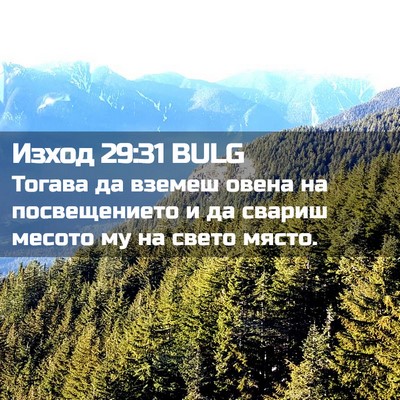 Picture 02 - Изход 29:31 BULG - Тогава да вземеш овена на - Bible Verse Picture