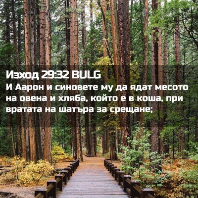 Picture 02 - Изход 29:32 BULG - И Аарон и синовете му да - Bible Verse Picture