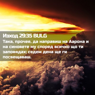 Picture 02 - Изход 29:35 BULG - Така, прочее, да направиш - Bible Verse Picture