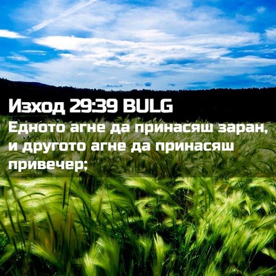 Picture 02 - Изход 29:39 BULG - Едното агне да принасяш - Bible Verse Picture