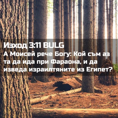 Picture 02 - Изход 3:11 BULG - А Моисей рече Богу: Кой съм - Bible Verse Picture