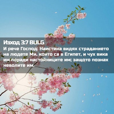 Picture 02 - Изход 3:7 BULG - И рече Господ: Наистина - Bible Verse Picture