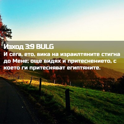Picture 02 - Изход 3:9 BULG - И сега, ето, вика на - Bible Verse Picture