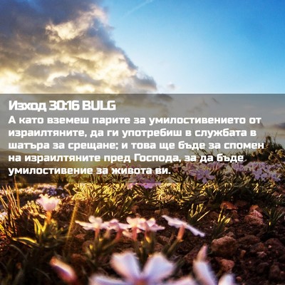 Picture 02 - Изход 30:16 BULG - А като вземеш парите за - Bible Verse Picture