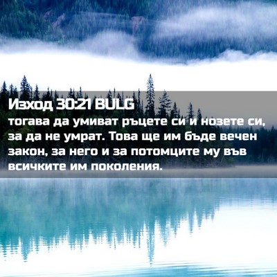 Picture 02 - Изход 30:21 BULG - тогава да умиват ръцете си - Bible Verse Picture