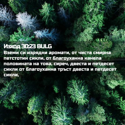 Picture 02 - Изход 30:23 BULG - Вземи си изрядни аромати, - Bible Verse Picture