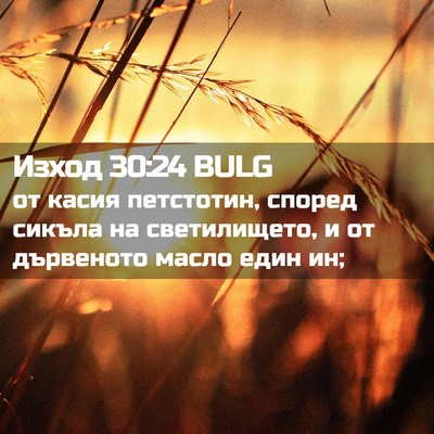 Picture 02 - Изход 30:24 BULG - от касия петстотин, според - Bible Verse Picture