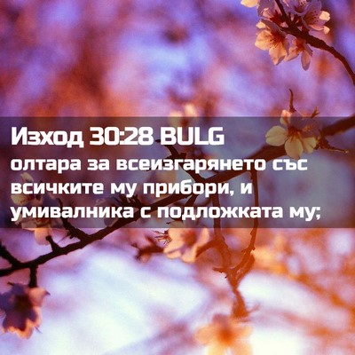 Picture 02 - Изход 30:28 BULG - олтара за всеизгарянето - Bible Verse Picture