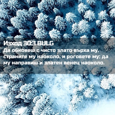 Picture 02 - Изход 30:3 BULG - Да обковеш с чисто злато - Bible Verse Picture