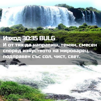 Picture 02 - Изход 30:35 BULG - И от тях да направиш, темян, - Bible Verse Picture