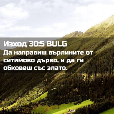 Picture 02 - Изход 30:5 BULG - Да направиш върлините от - Bible Verse Picture
