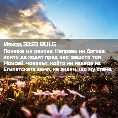 Picture 02 - Изход 32:23 BULG - Понеже ми рекоха: Направи - Bible Verse Picture