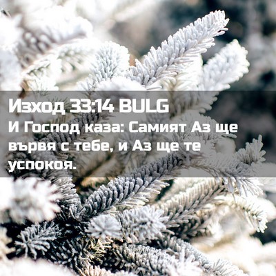 Picture 02 - Изход 33:14 BULG - И Господ каза: Самият Аз ще - Bible Verse Picture