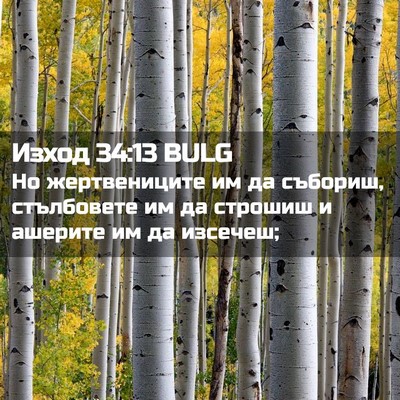 Picture 02 - Изход 34:13 BULG - Но жертвениците им да - Bible Verse Picture