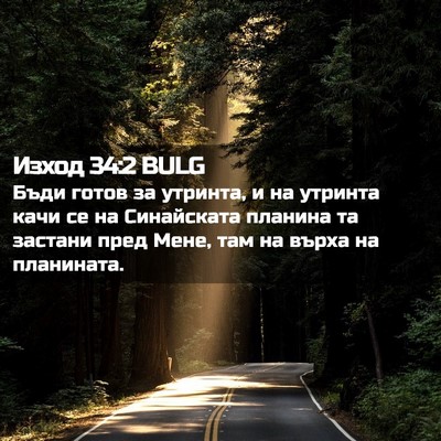 Picture 02 - Изход 34:2 BULG - Бъди готов за утринта, и на - Bible Verse Picture