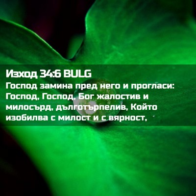 Picture 02 - Изход 34:6 BULG - Господ замина пред него и - Bible Verse Picture
