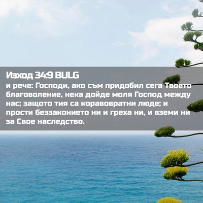 Picture 02 - Изход 34:9 BULG - и рече: Господи, ако съм - Bible Verse Picture