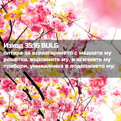 Picture 02 - Изход 35:16 BULG - олтара за всеизгарянето с - Bible Verse Picture