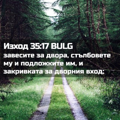 Picture 02 - Изход 35:17 BULG - завесите за двора, - Bible Verse Picture