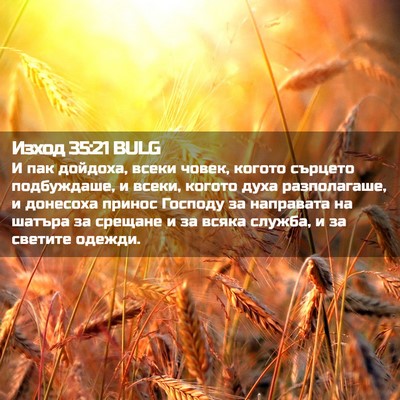 Picture 02 - Изход 35:21 BULG - И пак дойдоха, всеки човек, - Bible Verse Picture