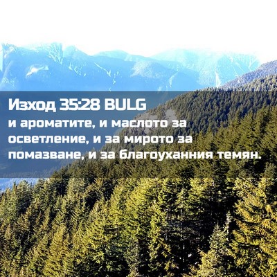 Picture 02 - Изход 35:28 BULG - и ароматите, и маслото за - Bible Verse Picture
