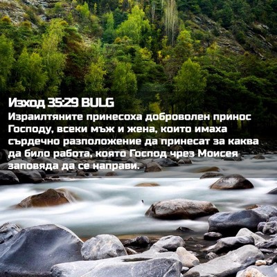 Picture 02 - Изход 35:29 BULG - Израилтяните принесоха - Bible Verse Picture